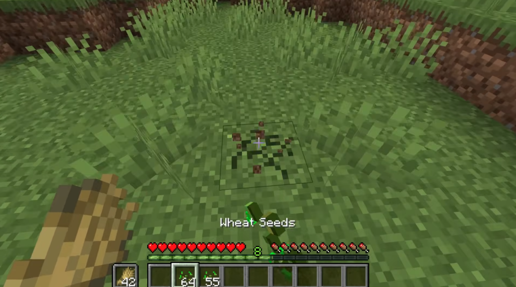 planting-wheat-seeds-in-minecraft