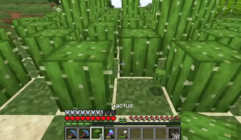 finding cactus in minecraft