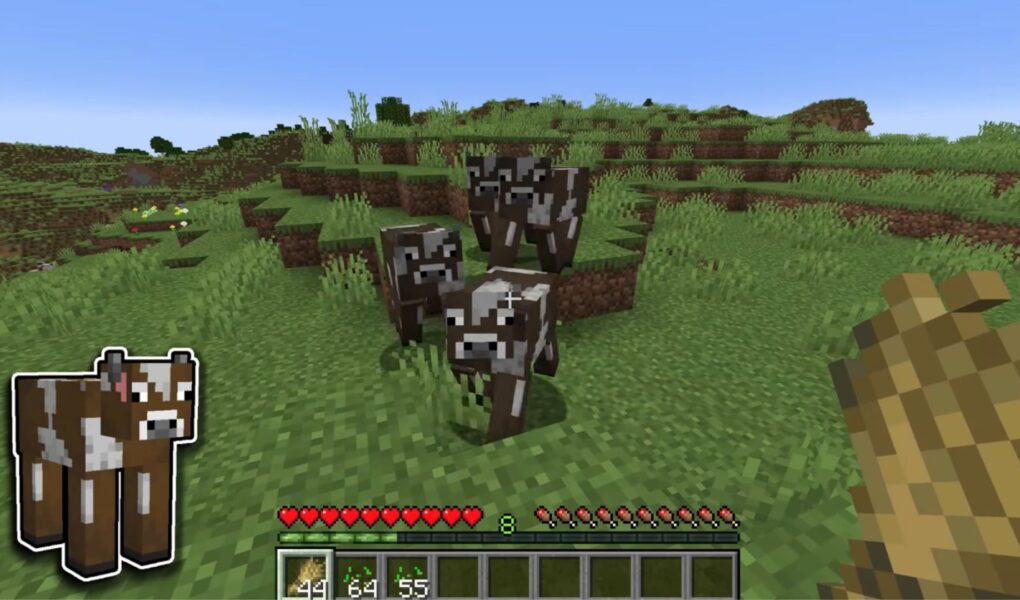 cows roaming in the overworld and following the player when he shows wheat to them.